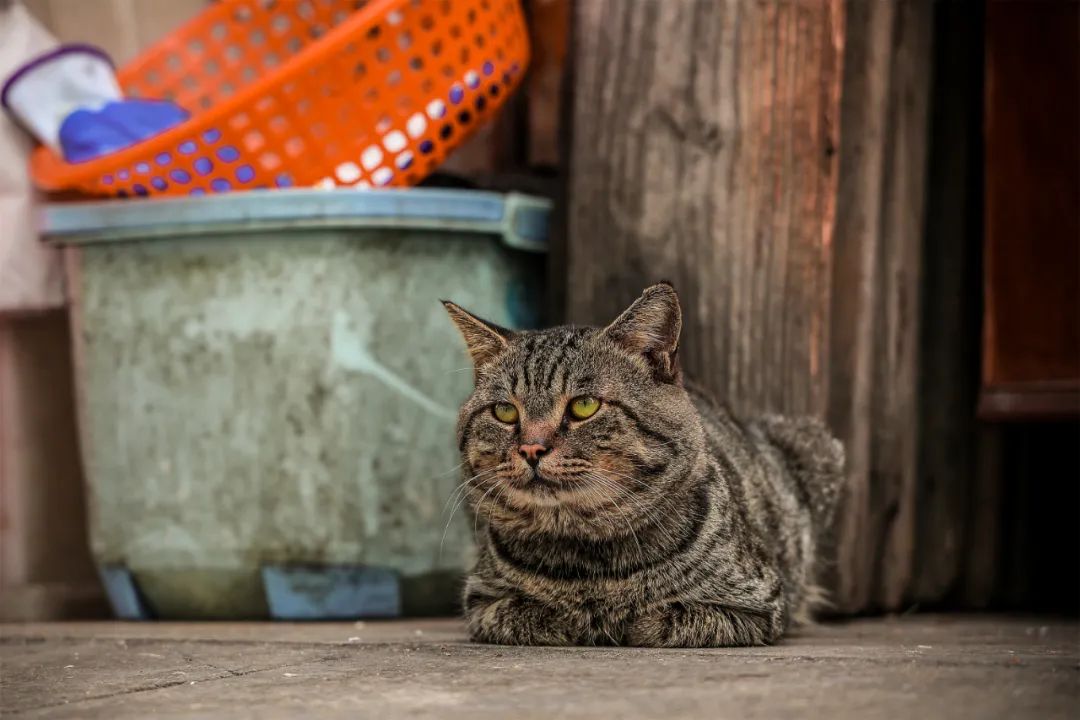 无锡东亭老街在哪里啊,东亭老街拆迁计划最新