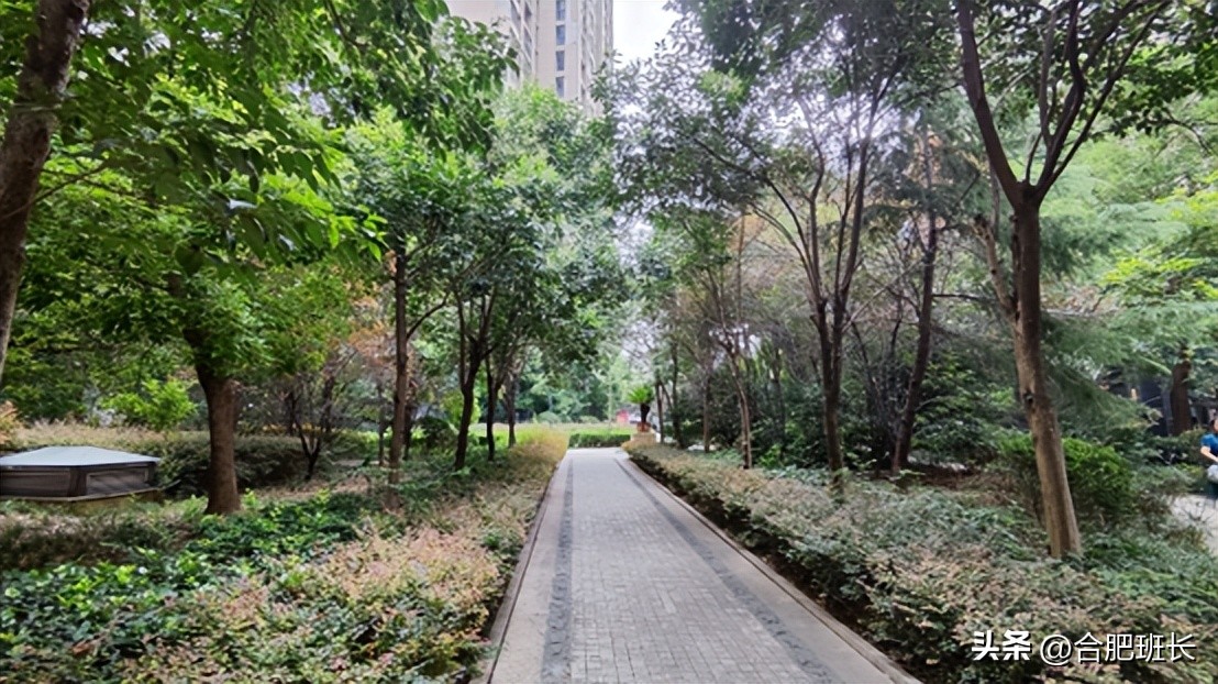 中环云邸最新楼盘,中环云邸楼盘