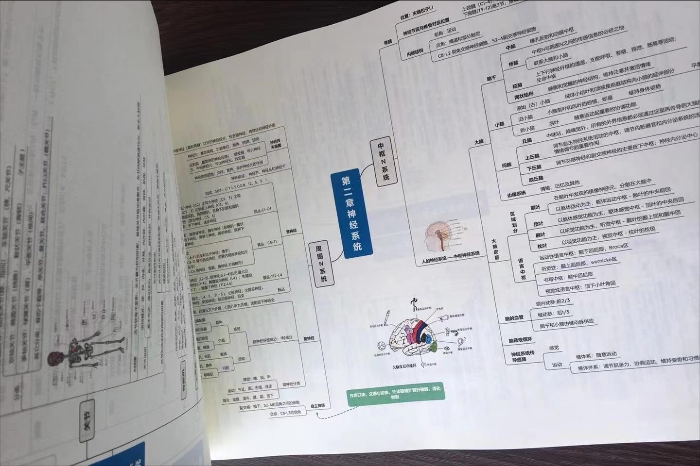 康复治疗师专业知识,康复治疗技师证什么专业可以报考
