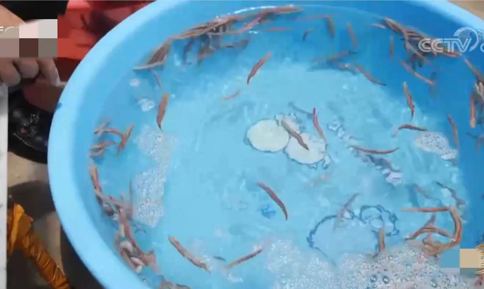 福建男子承包200亩滩涂，如今滩涂变成聚宝盆，年销售额2500多万