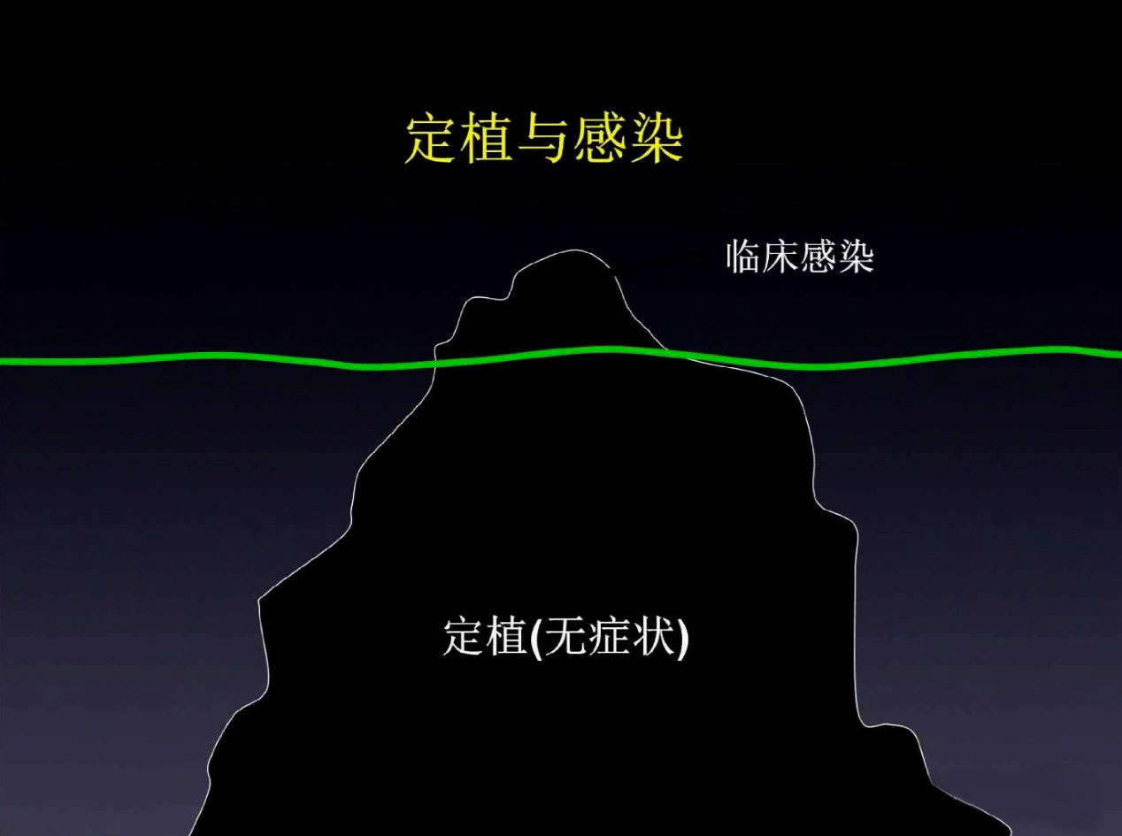 定植菌与感染菌区别,定植与感染如何区分