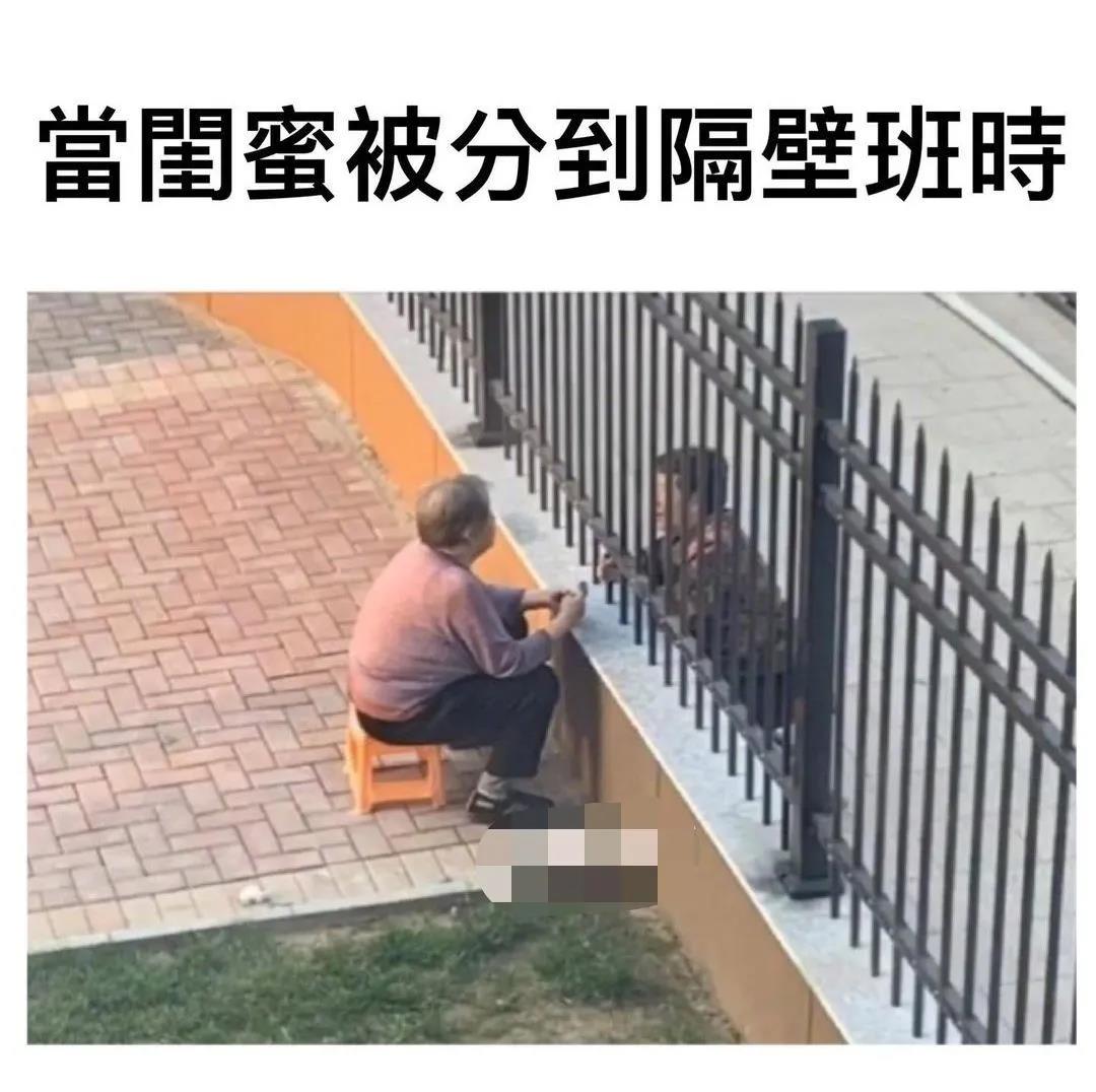 买了一个蚊帐先让室友试试,新买的蚊帐让室友先试试