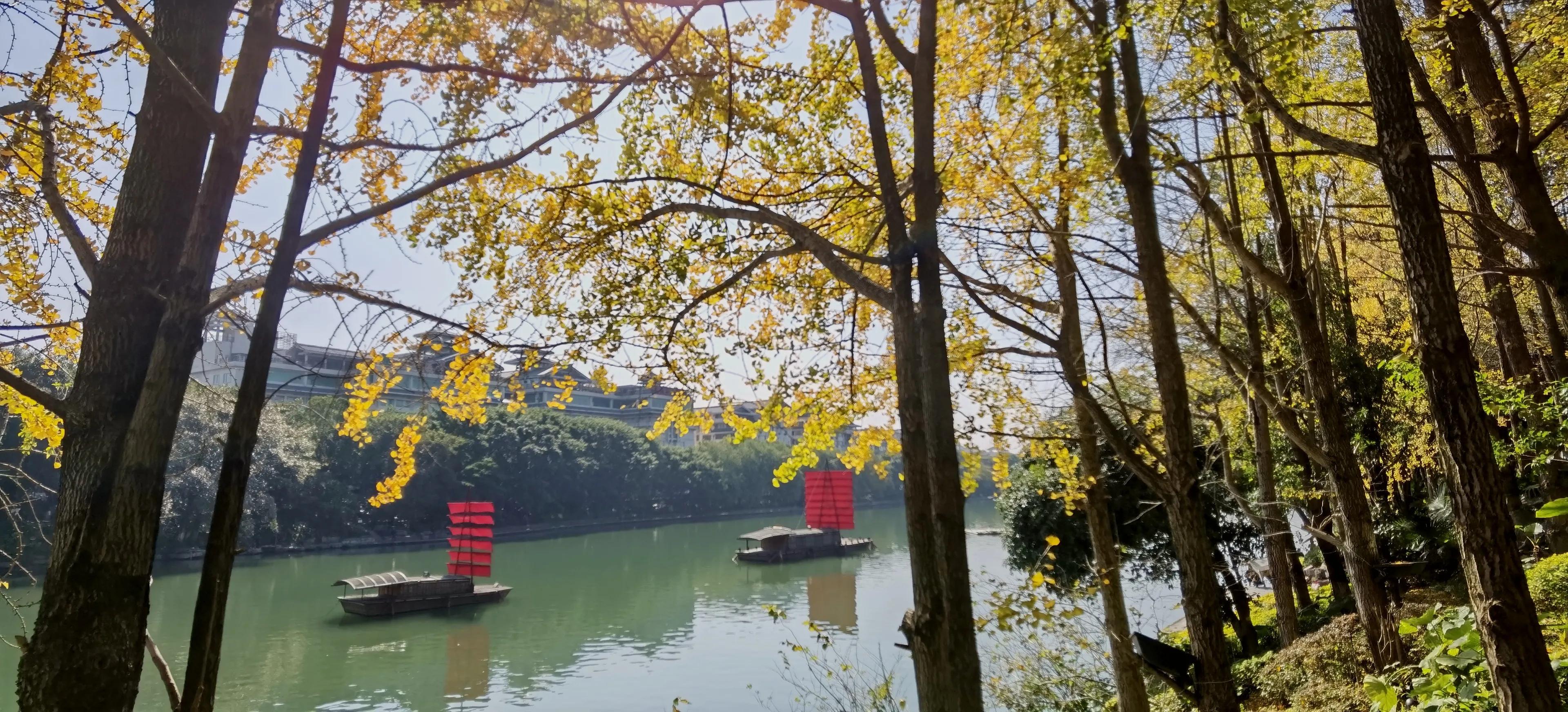 桂林的桂湖在哪里,桂林两江四湖之桂湖