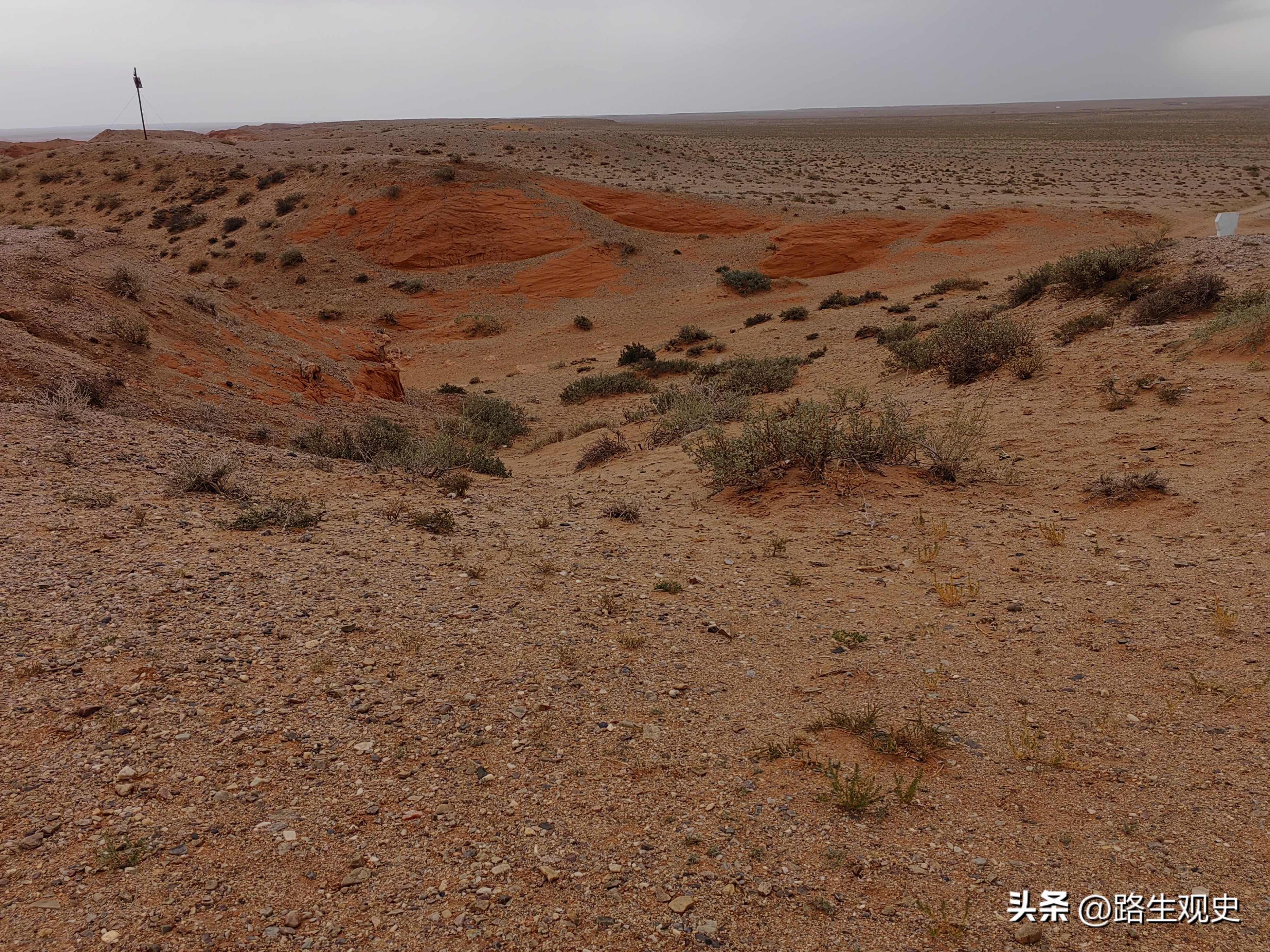 内蒙古恐龙遗迹有哪些,内蒙古草原几百上千年前是海吗