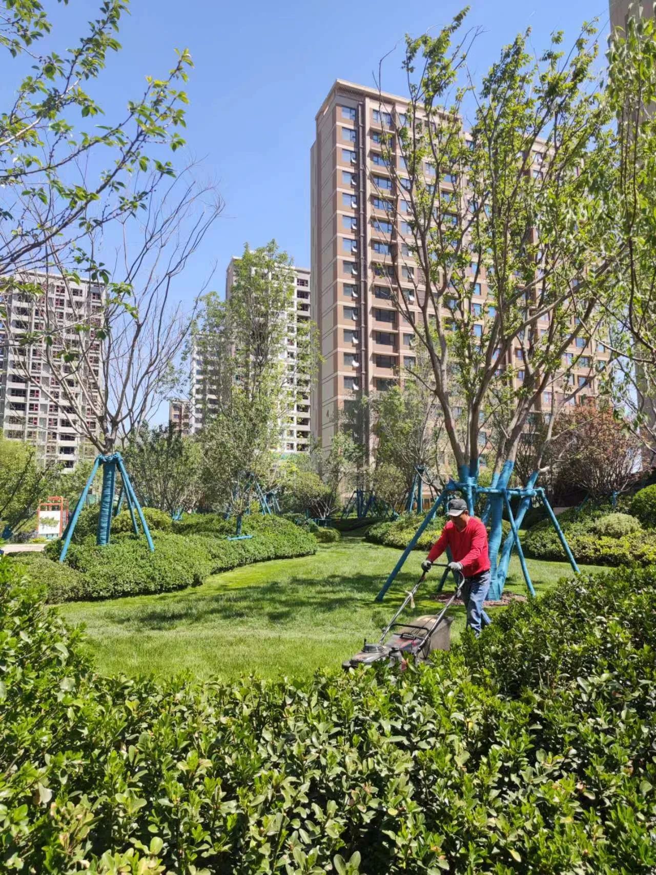 雪山万科城园林,雪山万科城有洋房吗