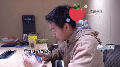 大街上免费领养狗是什么套路,中了免费领养猫咪是什么套路