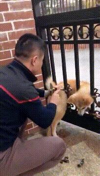 发烧真的会烧坏脑子，笑死我了哈哈哈哈哈哈哈