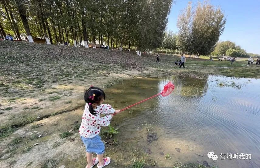 捞小河里的小蝌蚪,上海抓小蝌蚪的公园