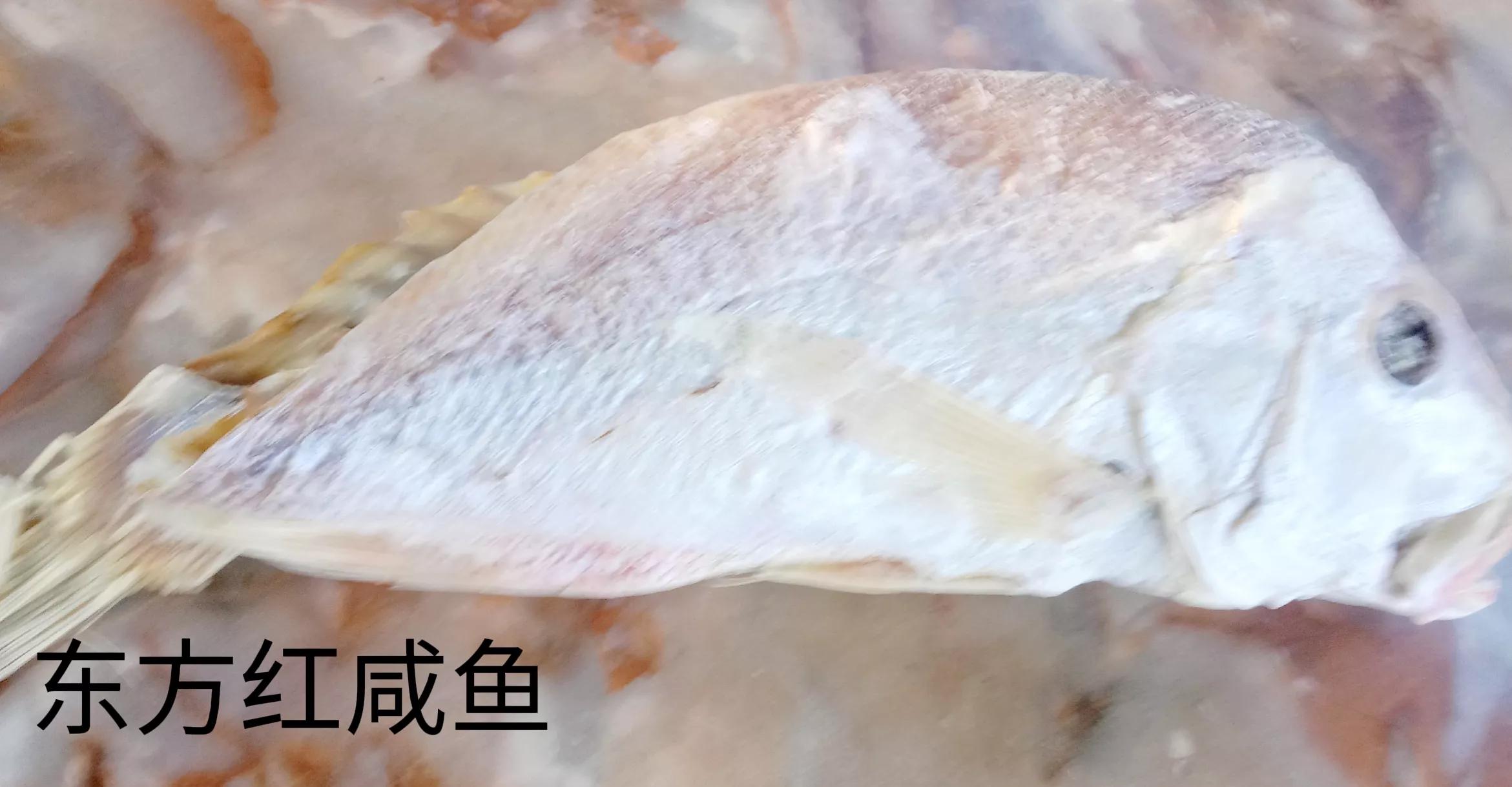 七食店在哪,七食