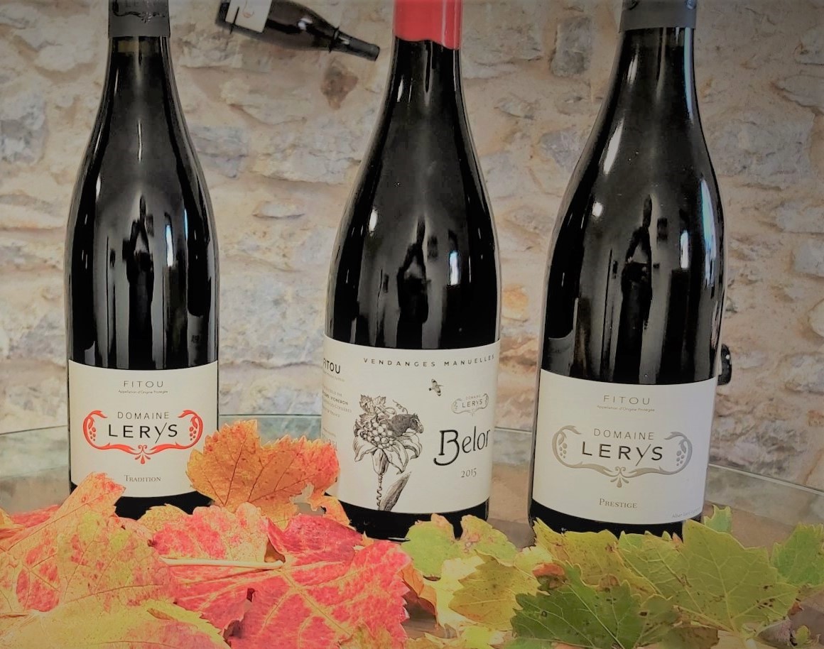 菲图葡萄酒怎么样,菲图精选干红葡萄酒