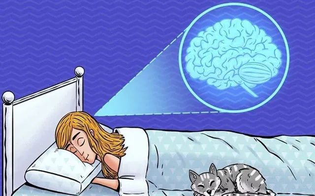 植物神经紊乱如何自我调整,植物神经紊乱自我康复心得体会