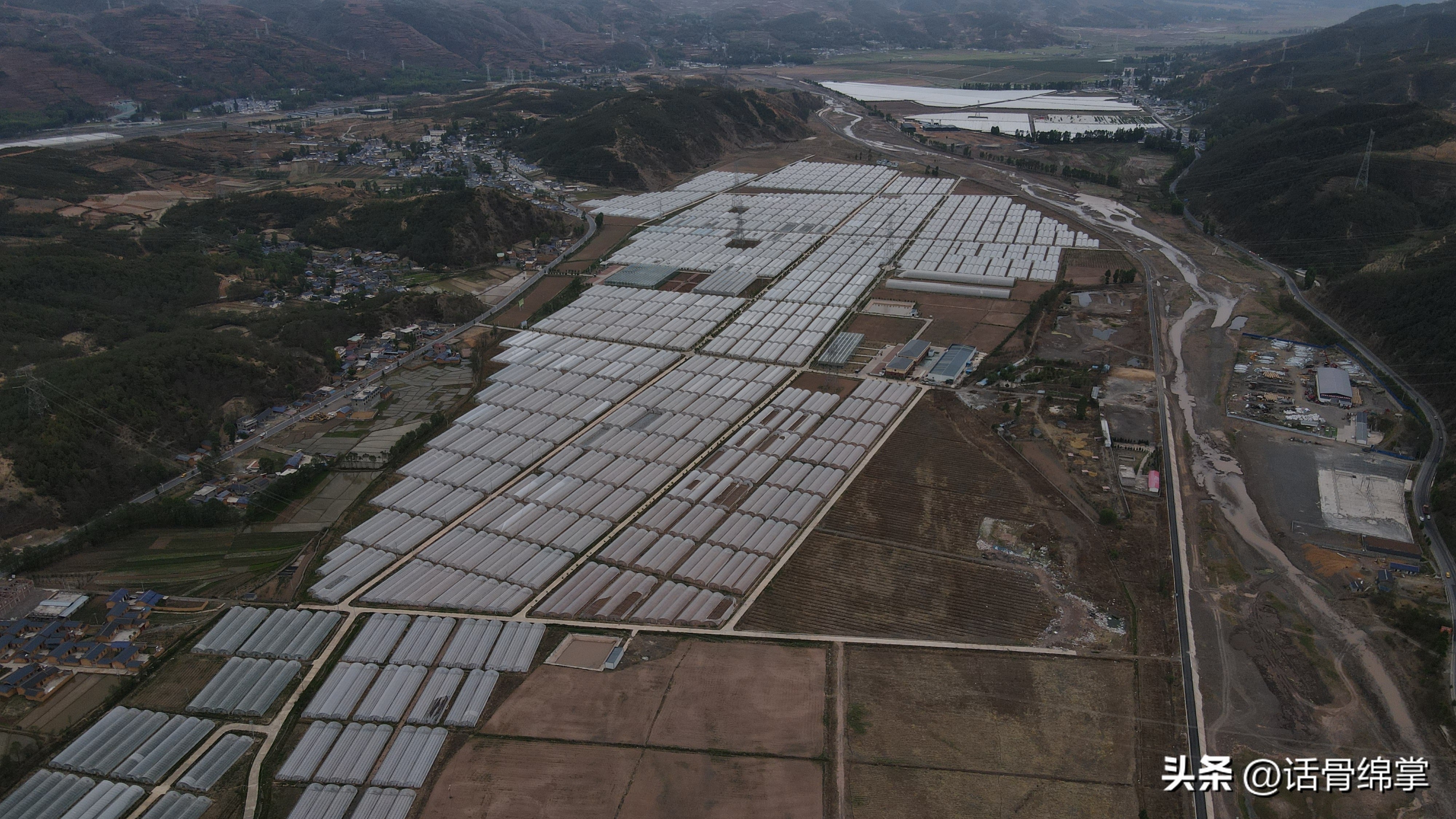 姹熸补骞虫鑱斿姩鍙戝睍,缁甸槼姹熸补鍗忓悓鍙戝睍