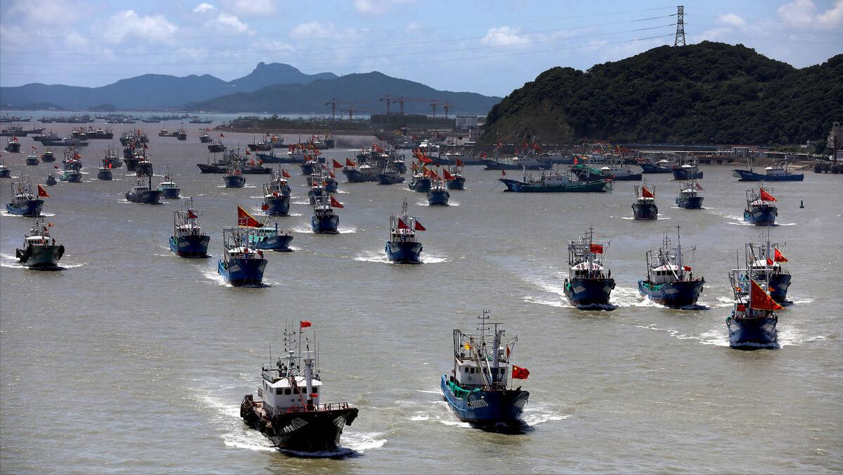 带鱼为什么无法人工养殖,捕捞的带鱼为什么都不活