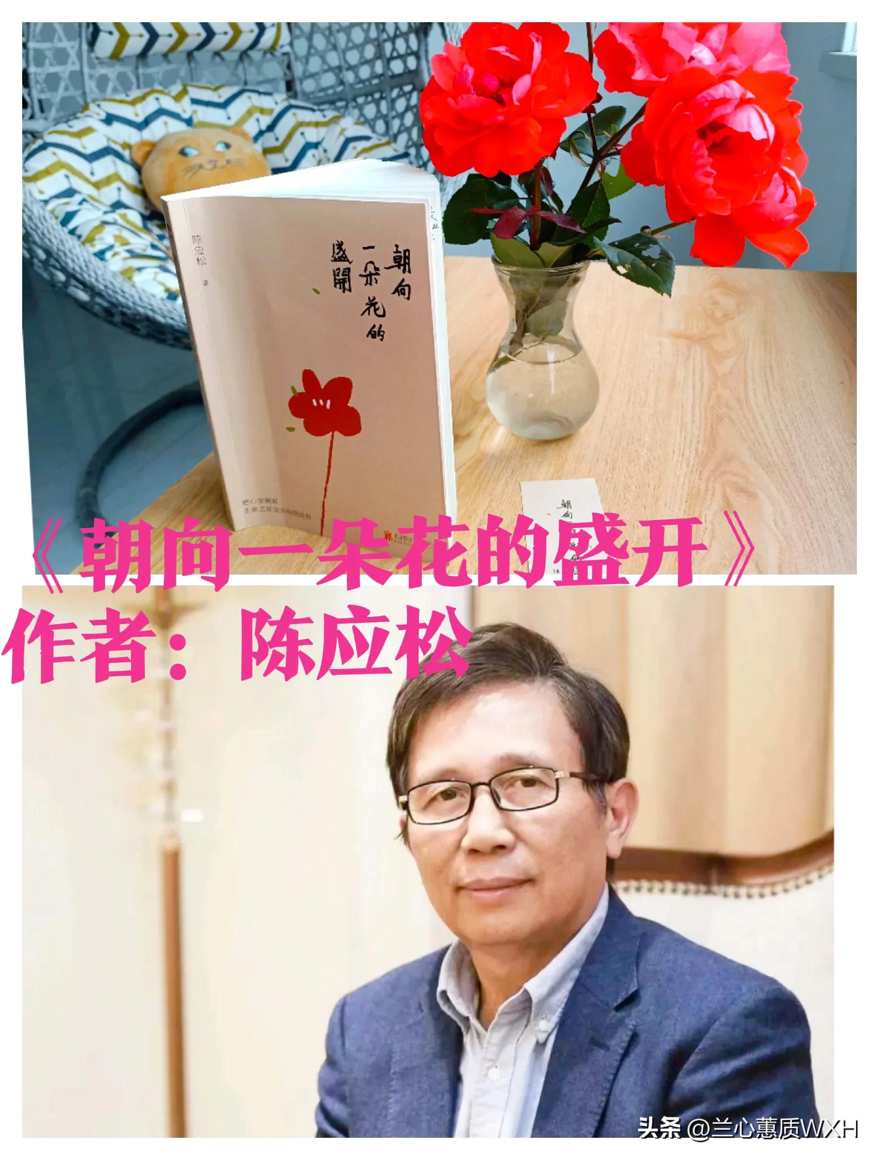 朝向一朵花的盛开豆瓣,朝向一朵花的盛开小说豆瓣