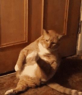 夏季常见皮肤问题医生教你,夏季皮肤瘙痒有什么方法