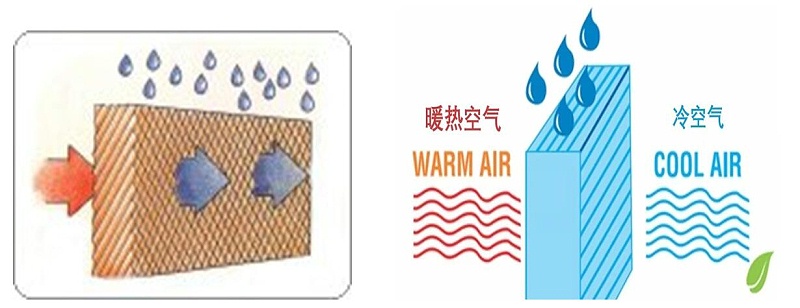水帘使用一定要封闭式吗,鸡舍水帘的正确使用