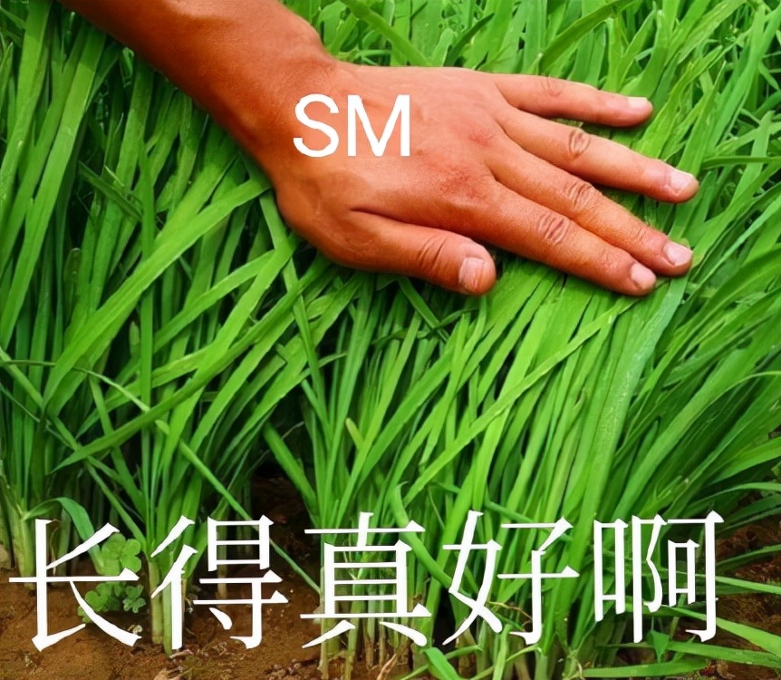 sm家族冬专合作曲舞台,sm家族合作曲有哪些