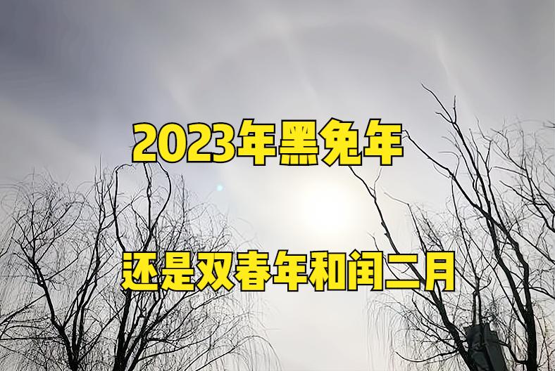 2023是千年一遇的黑兔年吗,2023年是不是黑兔年要注意些什么
