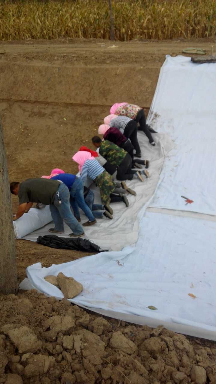 防渗无纺土工布价格,四川防渗无纺土工布多少钱一平
