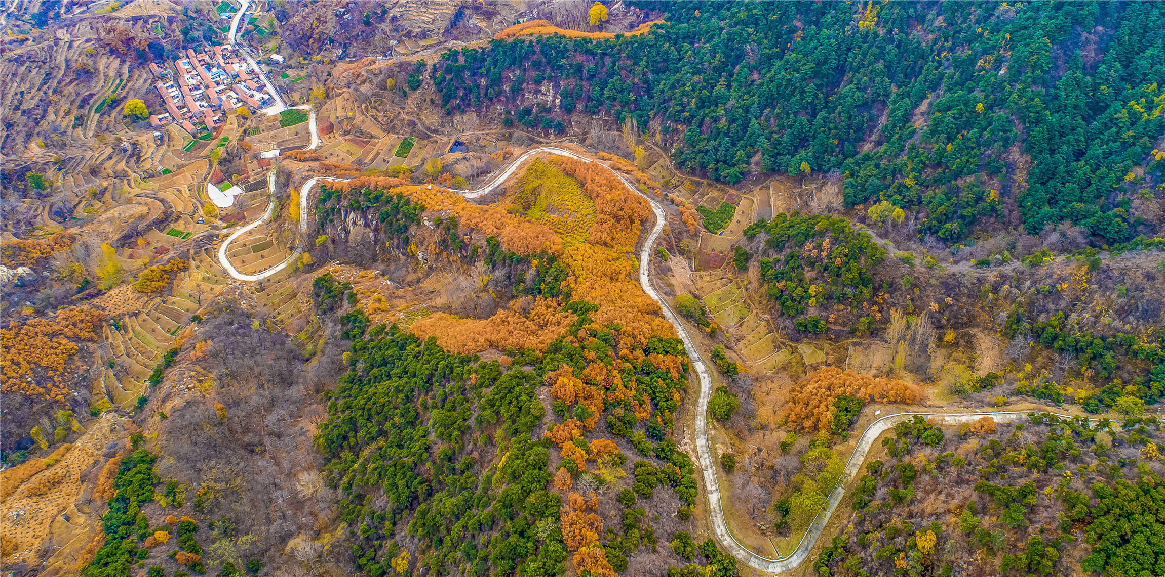 入秋济南好去处,济南秋季看花打卡地