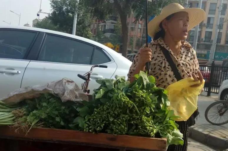 农村哪个部门有权力收垃圾费,农村垃圾管理费由谁负担