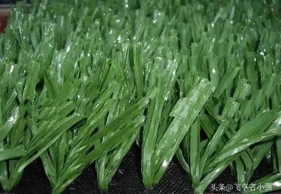 世界杯足球赛场的草坪是什么做的,真的是开眼了