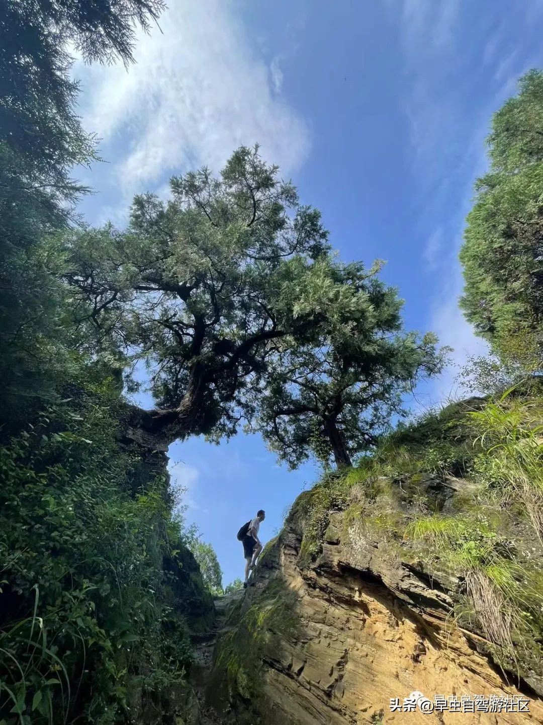 蜜蜂谷养殖,普定蜜蜂谷