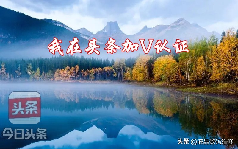 澶存潯娉曚汉璁よ瘉鍔爒,澶存潯瀹樻柟璁よ瘉鍔爒