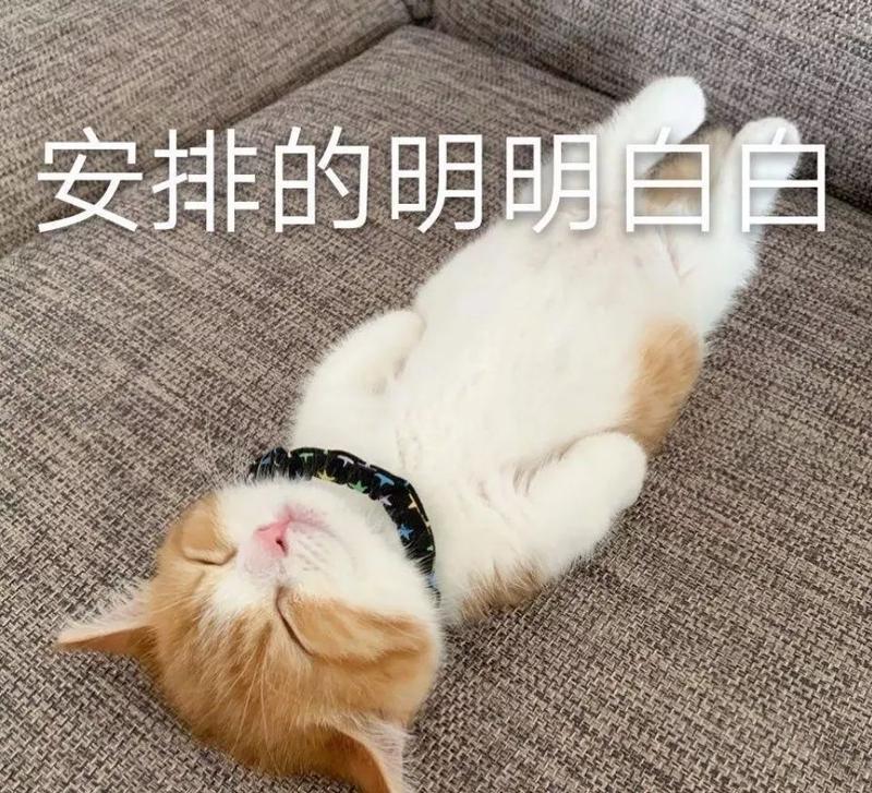 女主播刷礼物一个月能赚多少,网络女主播的真实收入