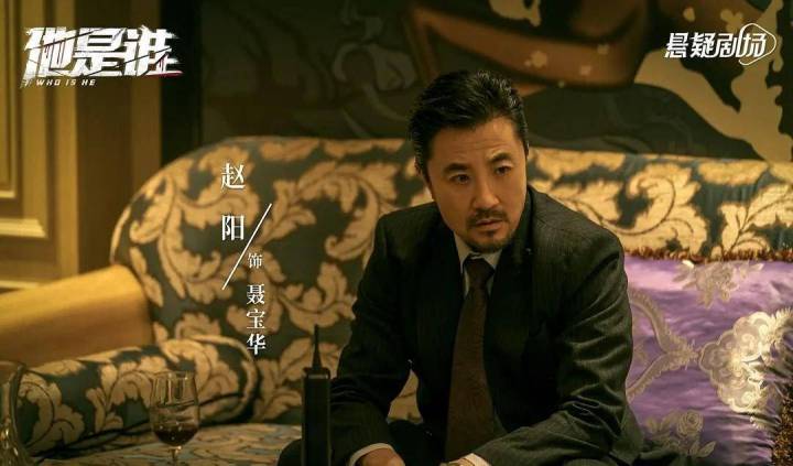 电视剧他是谁内容介绍,电视剧他是谁讲的是什么