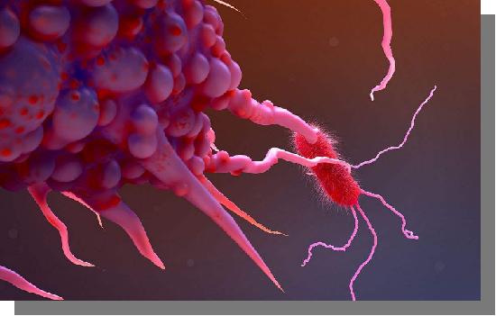 hpv感染是不是不好怀孕,hpv最可怕的型号