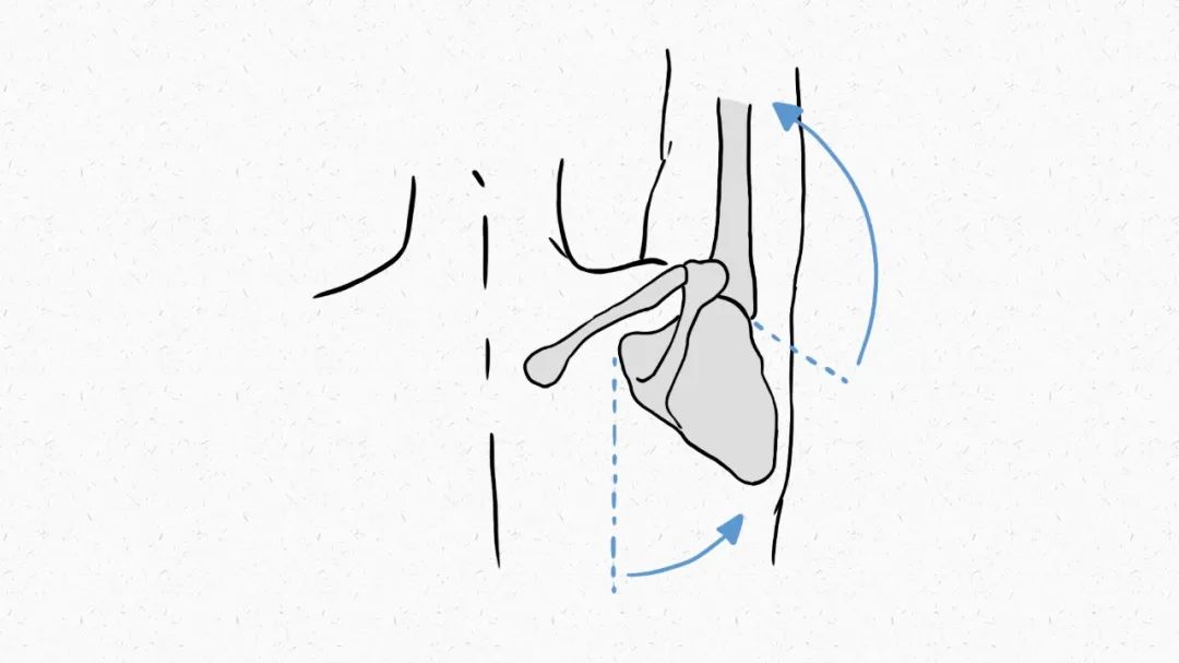 赶紧停下！火爆全网的这种身材，华西医生说：一不小心就让你受伤