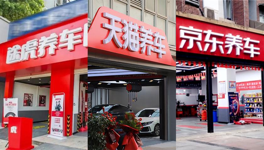 养车虎猫狗,猫狗虎养车哪个前景好