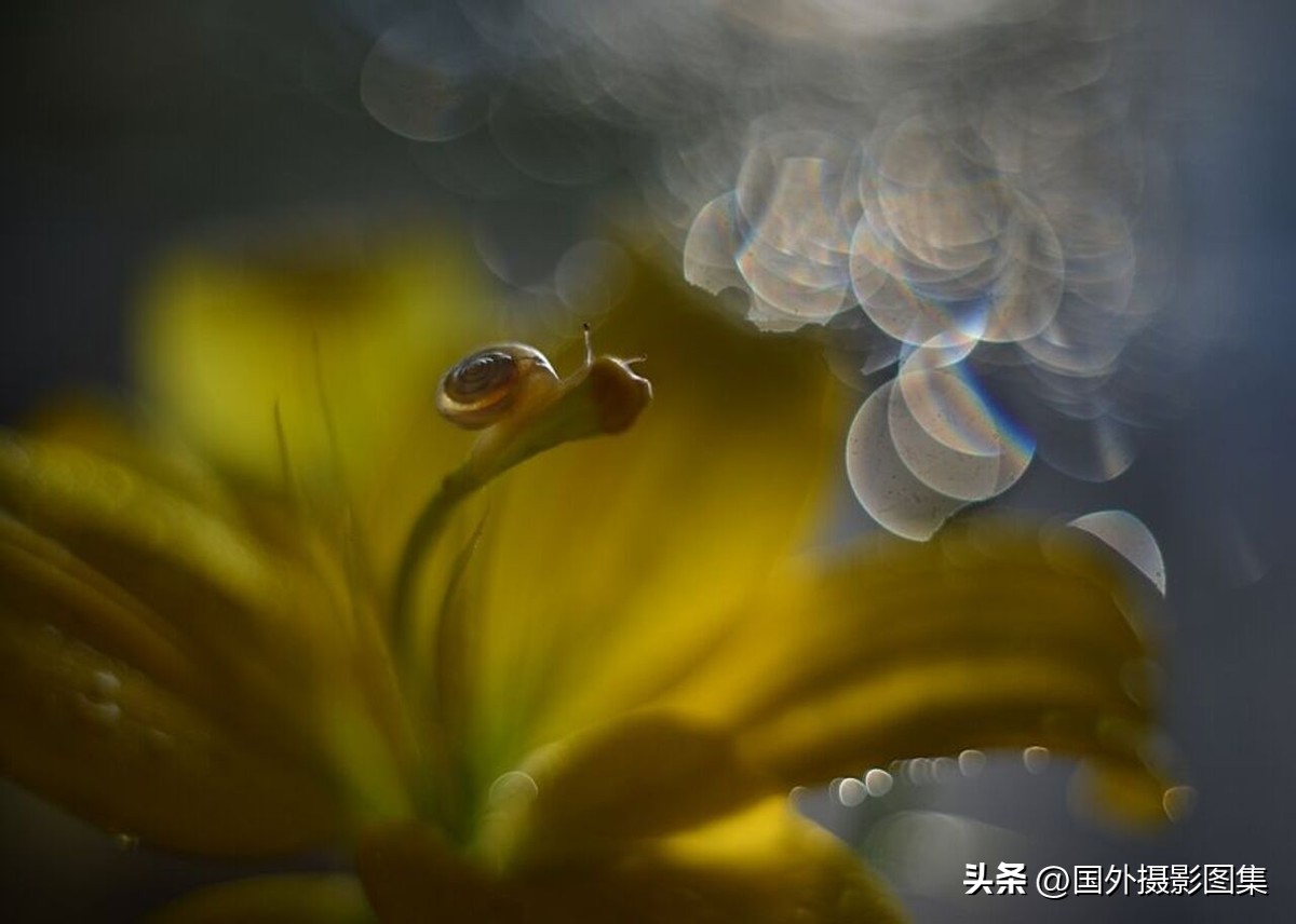 最美的景色秋天照片高清,夏天和秋天的绝美照片