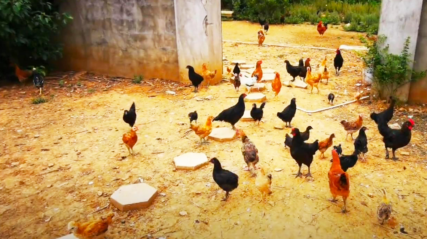 武汉到木兰天池旅游攻略,武汉木兰湖自驾游攻略