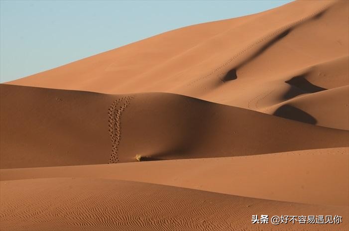 乌俄新战局,俄乌冲突下的荷兰