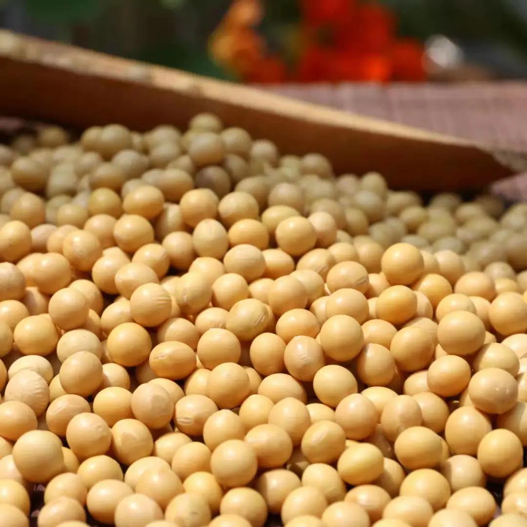 40岁女性吃哪些零食比较好,滋阴的零食有哪些