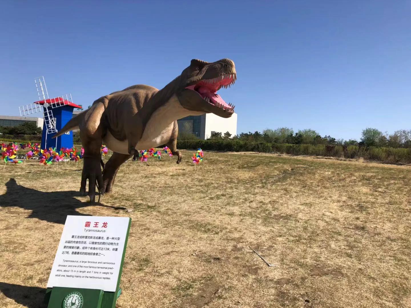 辽西自驾游一日游攻略,辽西自驾游一日游