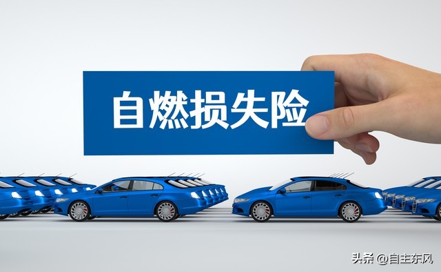 关于买车险注意事项的视频,买电话车险要注意事项