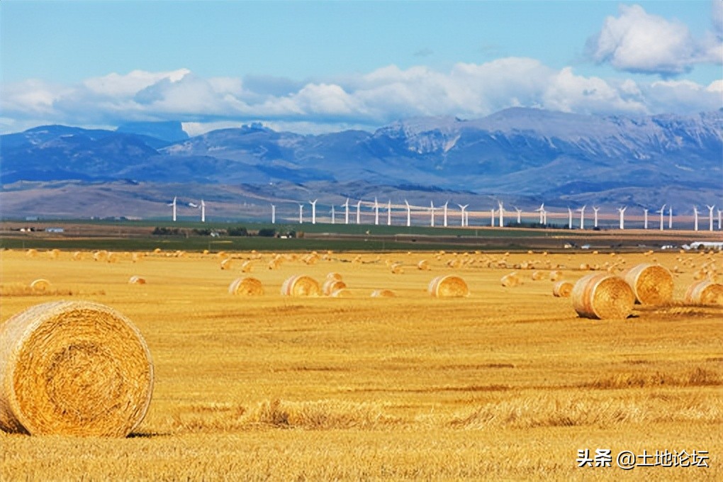 南方新兴行业创业项目,农村新兴行业创业项目