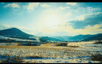 被央视评为收视前五的电视剧,央视上一部收视第一的电视剧