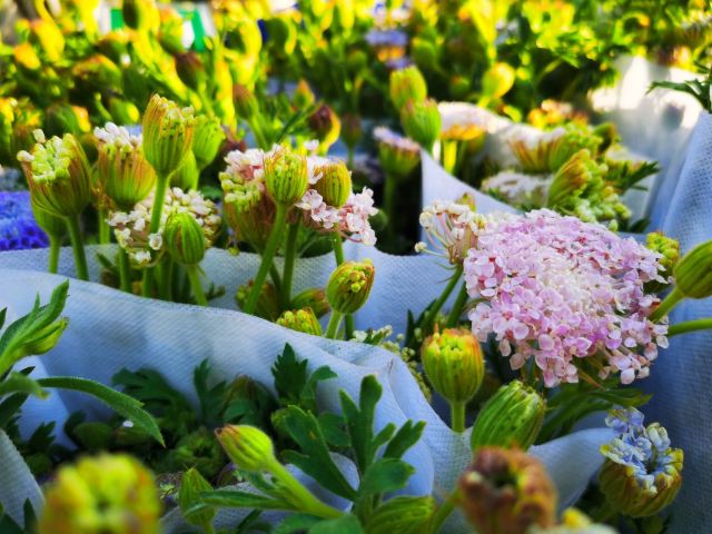 云南旅游攻略昆明旅游攻略,云南昆明旅游攻略