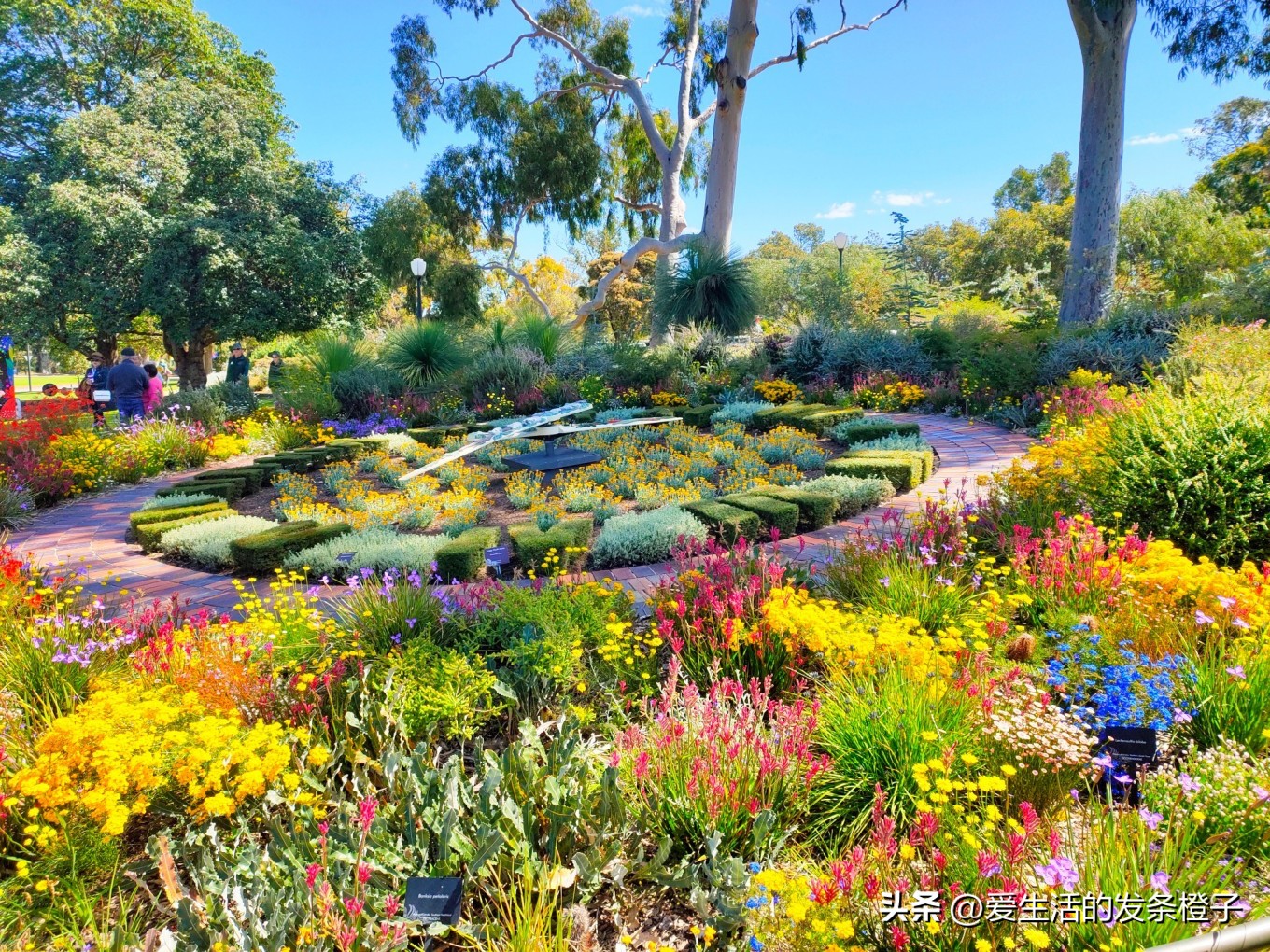 一路向北全程1980公里,西澳自驾游最佳路线图