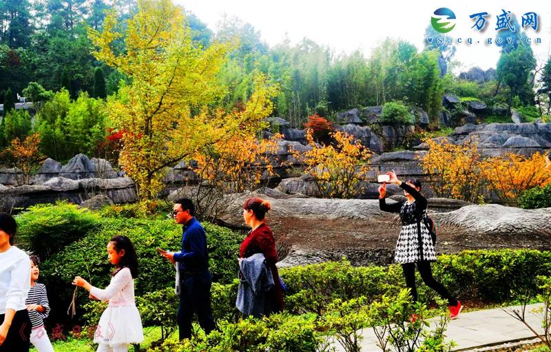 重庆万盛黑山谷景区,重庆万盛黑山谷民宿