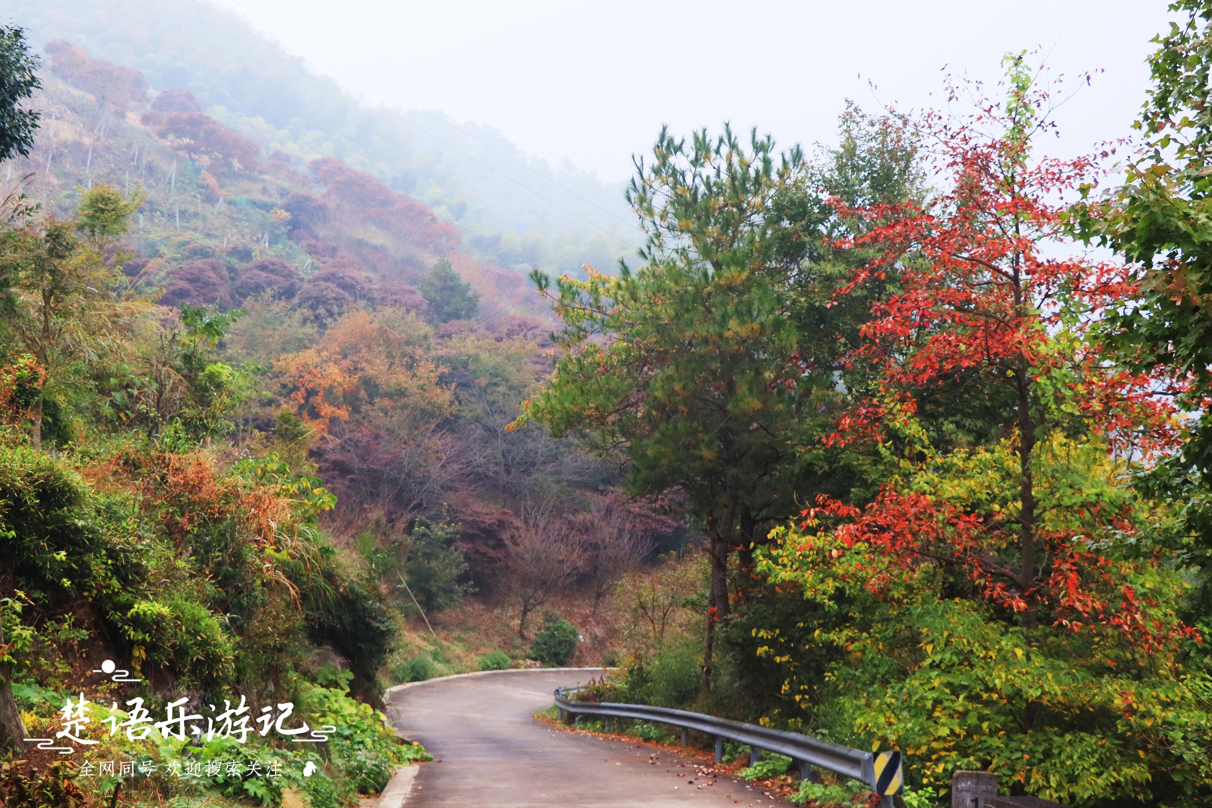 浙江宁波发现一处避世桃源，名字充满传说，景色如画堪称游玩佳地