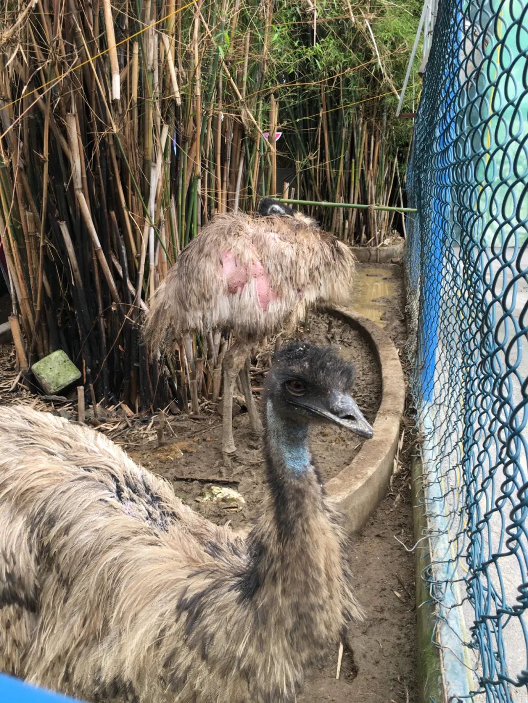 旭光电动车行,旭光车行向阳路