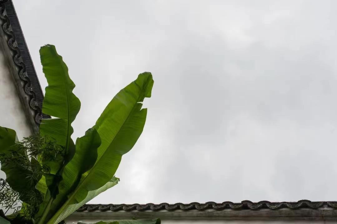 小楼周刊（299）：2022年第二十九期