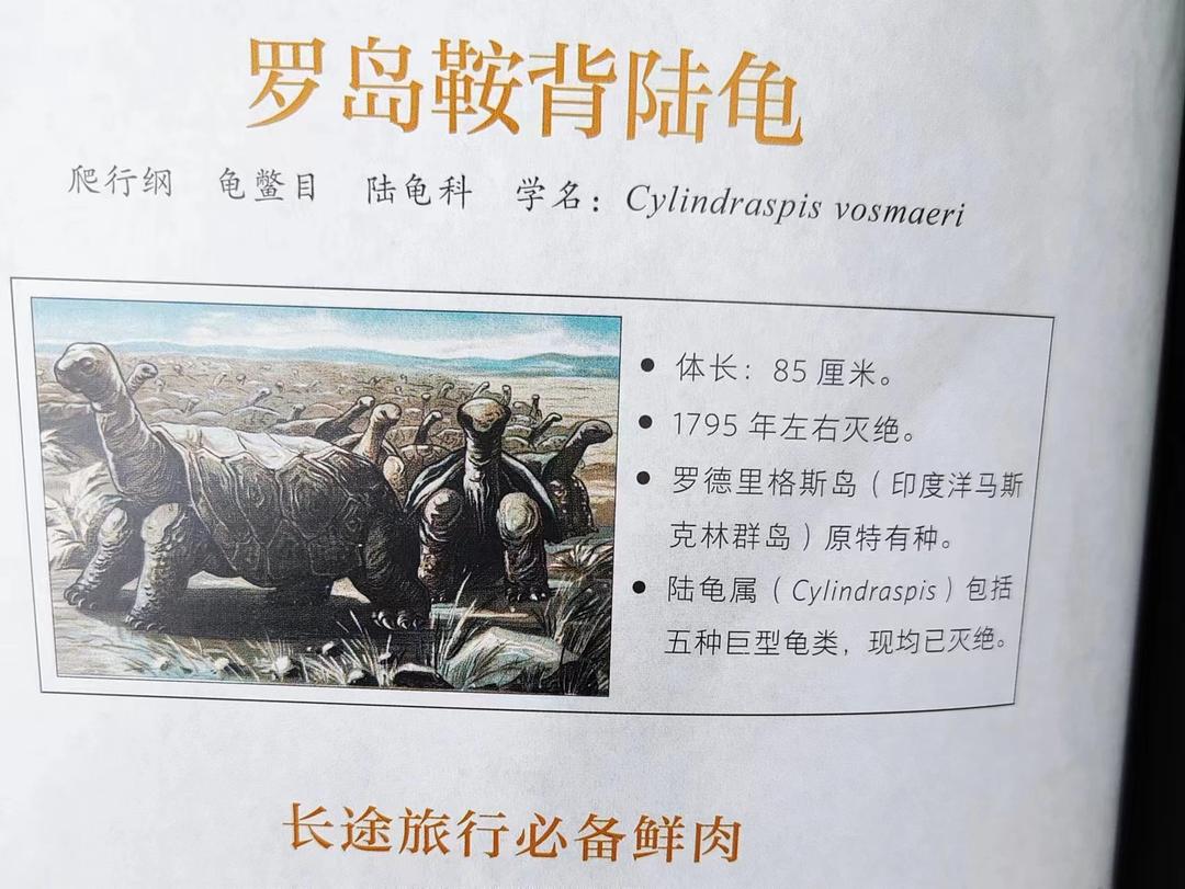 消失的动物世界视频,消失动物图鉴