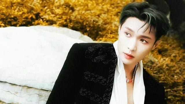 外人评价张艺兴的歌曲,专业人评价张艺兴的歌曲