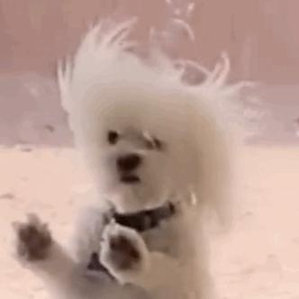 冷空气来袭桂北气温将降个位数,冷空气南下桂北转阴雨